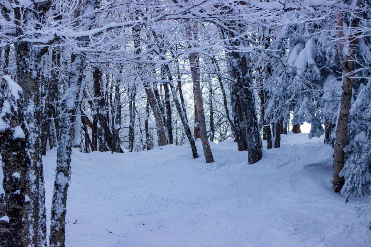 Smugglers' Notch Resort Private Suites Cambridge Esterno foto