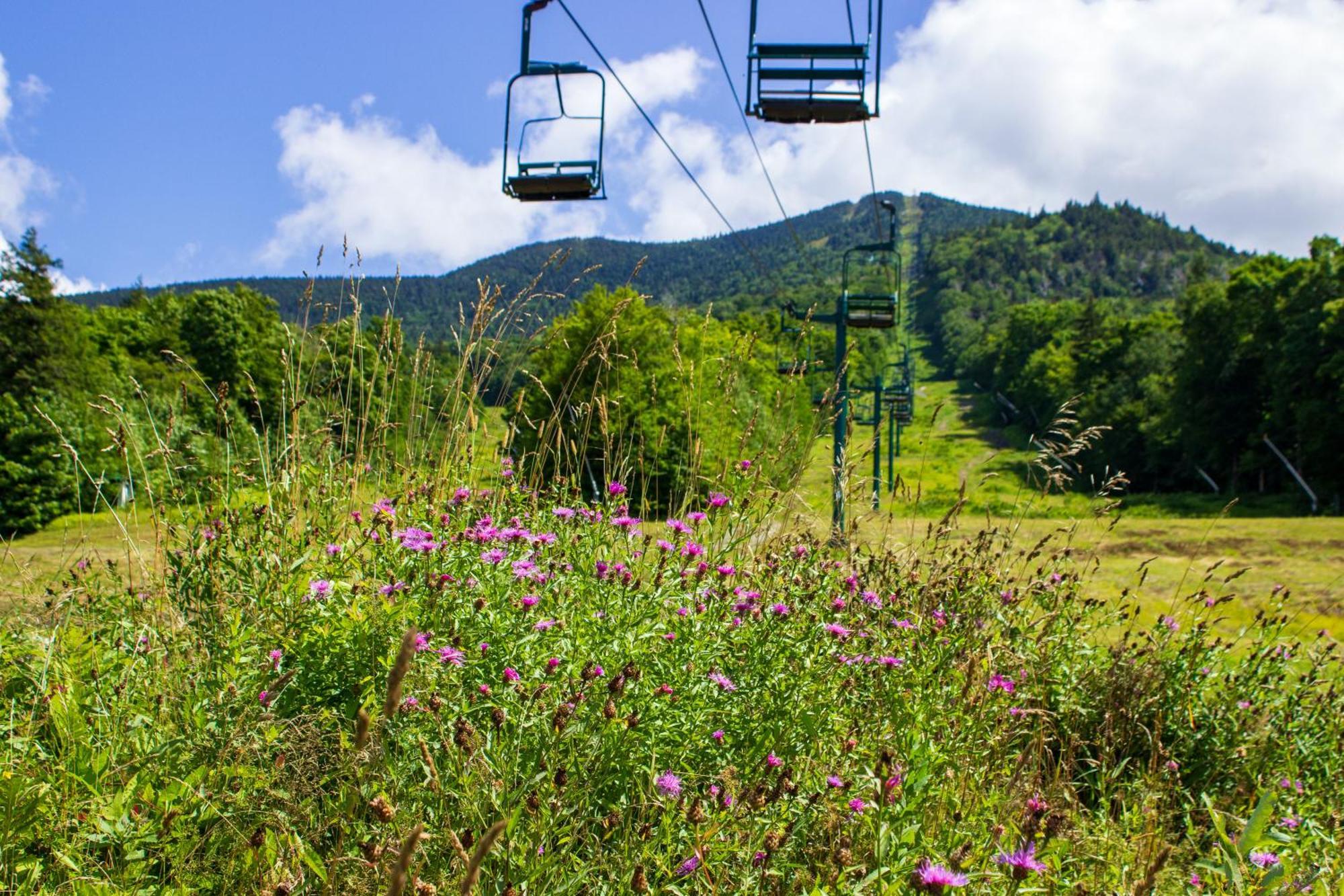 Smugglers' Notch Resort Private Suites Cambridge Esterno foto